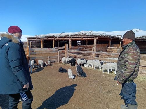 В Тес-Хемском районе стартовала окотная кампания