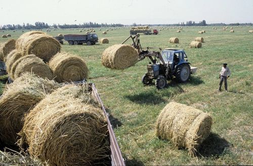 В Туве пройдет конкурс детских рисунков и фотографий, посвященных работникам сельского хозяйства и перерабатывающей промышленности