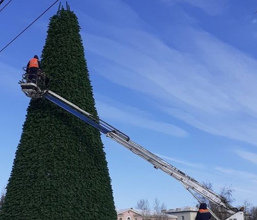 Главную ёлку столицы Тувы установят пораньше