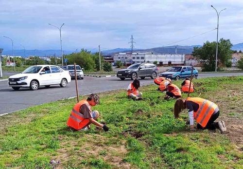 Чайгы күш-ажыл лагеринде ажыктыг дыштанылга