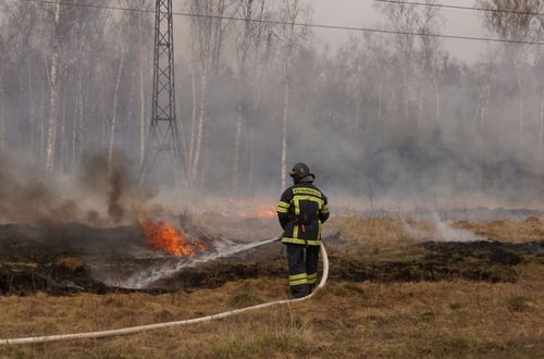 В Туве прогнозируют осложнение пожарной обстановки