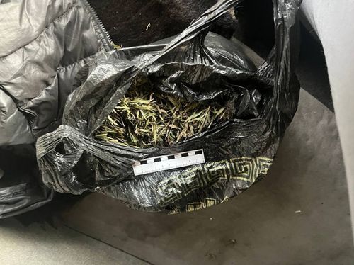 В Туве в отношении трех местных жителей возбуждено дело за хранение наркотиков в крупном размере