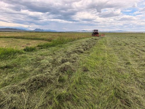 Как проходит кормозаготовительная кампания в Туве