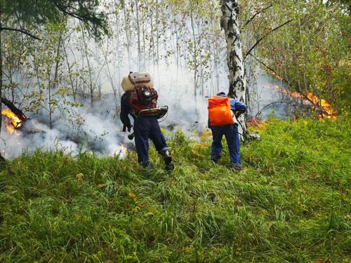 В Туве будут применять четырехуровневый мониторинг пожаров