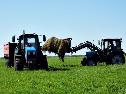 В Туве продолжается активная кормозаготовительная кампания