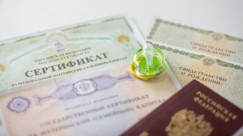 Депутат Госдумы выступила с инициативой разрешить использование средств маткапитала на приобретение путёвок в детские лагеря