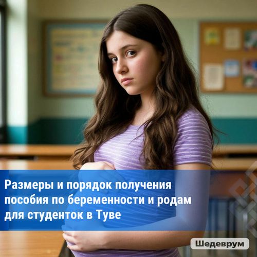 В Туве с начала года 348 студенток получили пособие по беременности и родам