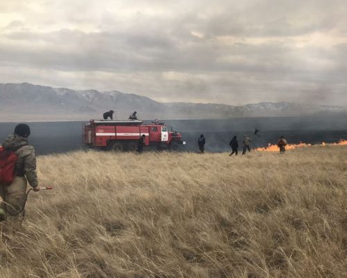 В Туве за 12 дней сгорело 1000 гектаров земли