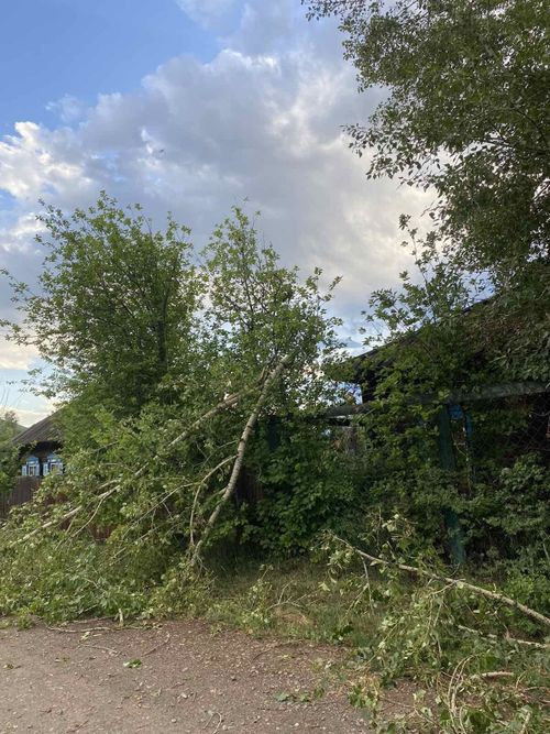 В Пий-Хемском районе для помощи пострадавшим от шквалистого ветра будут помогать волонтеры