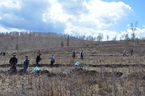 Тува активно принимает участие во Всероссийской акции «Сад памяти»