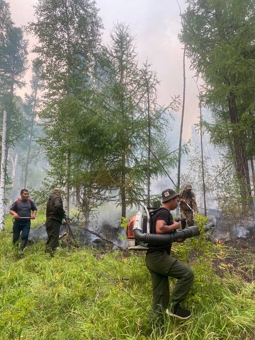 В Туве действует 30 лесных пожаров лесной пожар на общей площади 15197,30 га