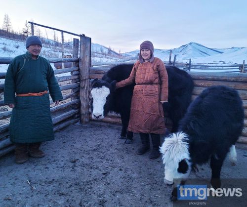 Россия – Моол кызыгаарында малын малдап...