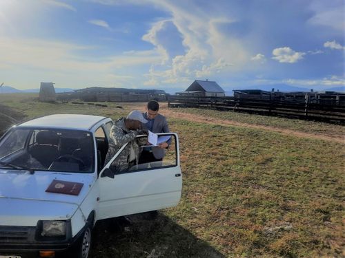 В Кызыле привлекают к ответственности хозяев КРС и МРС