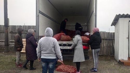 Тос муң ажыг өг-бүле картофель үрезинин алыр