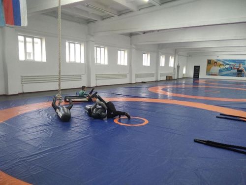 Национальный проект «Демография» помогает развивать спортивные направления Тувы