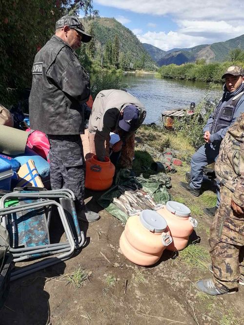 Госкомохотнадзор Тувы провел 454 рейда в 2024 году