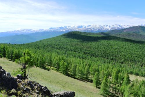 В Туве обновляют лесохозяйственную технику и лесопожарное оборудование
