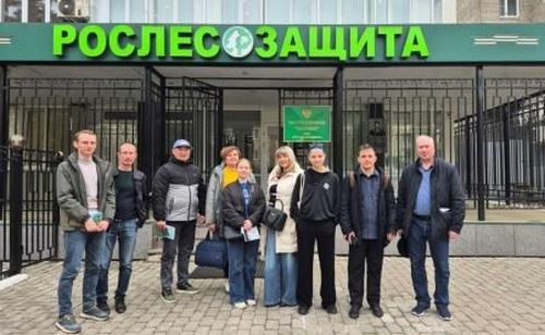 Рослесозащита инвестирует в повышение квалификации сотрудников