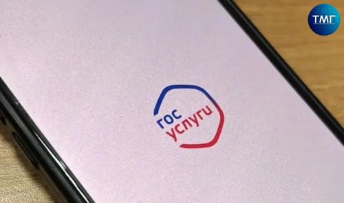 На «Госуслугах» появился сервис защиты от интернет-мошенников