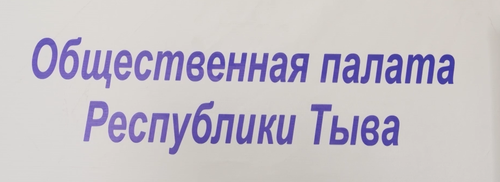 НКО Тувы приглашают поделиться предложениями по мерам борьбы с нелегальной продажей алкоголя