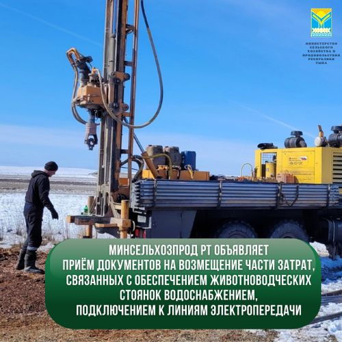 Минсельхозпрод РТ объявляет приём документов на предоставление субсидий на возмещение части затрат, связанных с обеспечением животноводческих стоянок