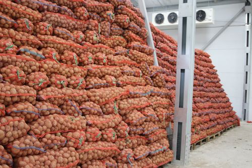 Минсельхозпрод Тувы объявляет отбор на предоставление субсидий