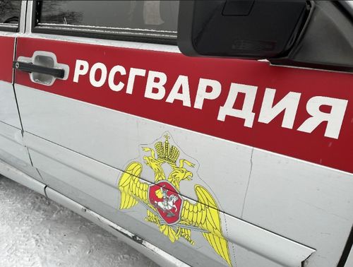 В Туве задержали мужчину, подозреваемого в умышленном причинении тяжкого вреда здоровью