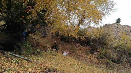 Участники РГО исследовали аржааны в Пий-Хемском районе