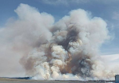 В Туве с начала 2025 года зарегистрировано 17 степных пожаров