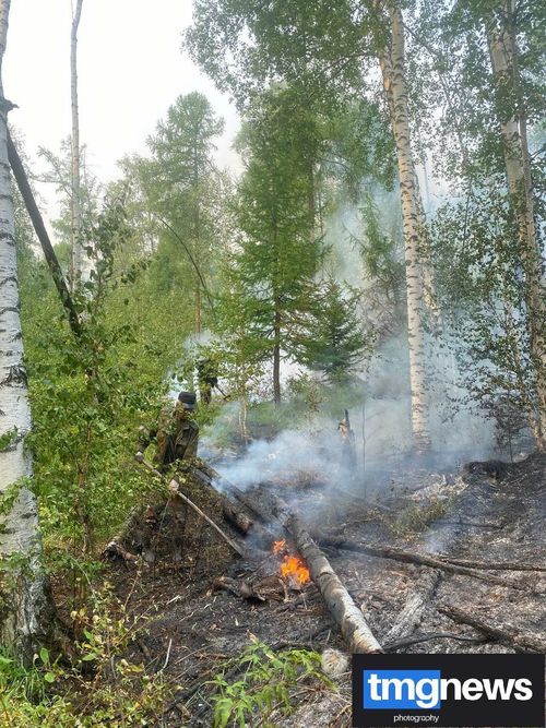 В Туве действуют девять лесных пожаров на общей площади 25267 га