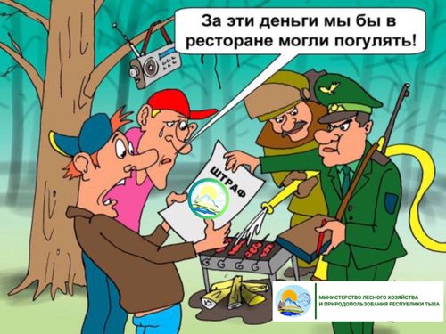 Нарушители лесного законодательства заплатят четыре миллиона рублей штрафов