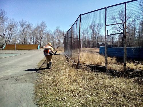 В Роспотребнадзоре Тувы напомнили о значимости акарицидных обработок в преддверии сезона активности клещей