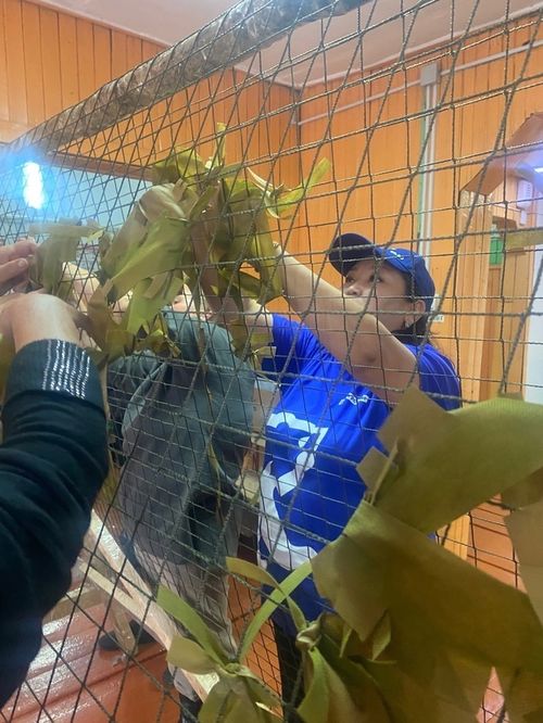 В селе Арыг-Бажы прошел форум по обучению плетению маскировочных сетей от ЕР