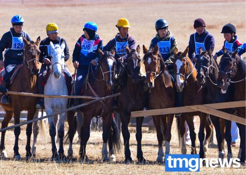 Бора-Булакка үш чүс ажыг аътты чарыштырган