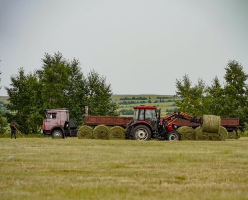 Мал чеминиң белеткелин үе-шаанда эгелээр