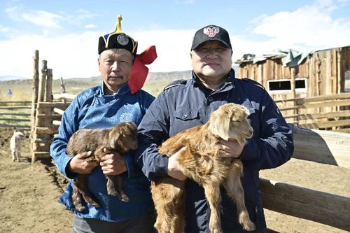 Глава Тувы встретился с чабанами Овюрского района