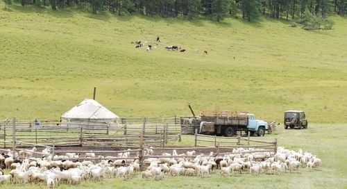 В Туве подведи итоги реализации губернаторского проекта «Кыштаг»