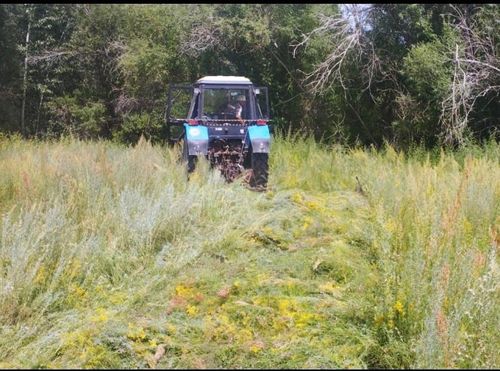 В Овюрском районе заготовлено более двух тысяч тонн грубых кормов