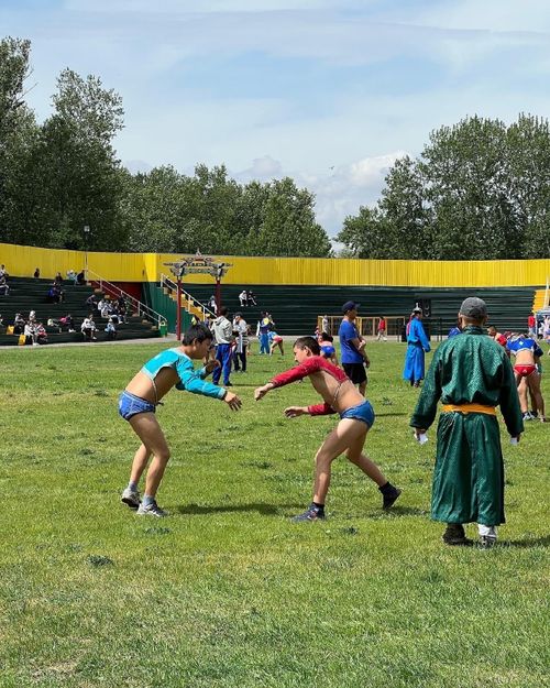 Делегейниң уруглар камгалалының хүнүнге тураскааткан хүреш доозулган