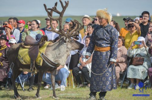 В Туве стартовал национальный праздник животноводов «Наадым-2023»