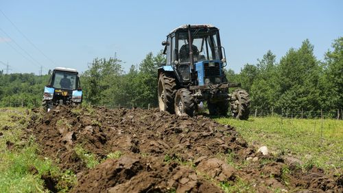 В Туве в рамках нацпроекта «Экспорт продукции АПК» введено в оборот около 900 га сельхозземель