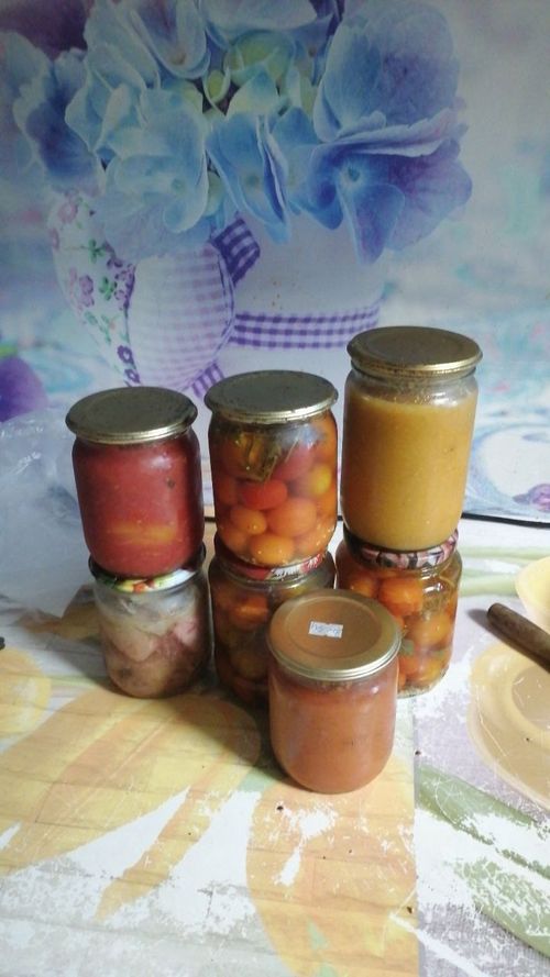 В Кызыле раскрыли кражу домашних заготовок, совершенную в 2023 году