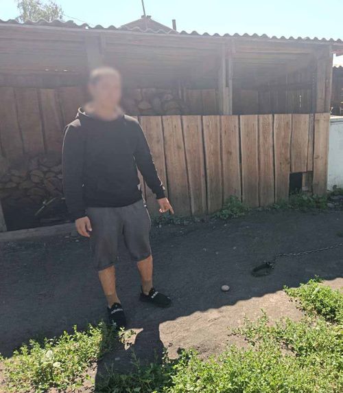 Житель Каа-Хемского района осужден за жестокое обращение с собакой