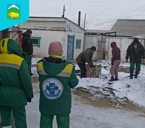 В Монгун-Тайге провели вакцинацию бездомных собак от бешенства