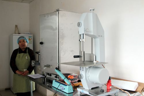 Специалисты Минсельхоза Тувы проверили реализацию инвестпроекта в Тес-Хемском районе