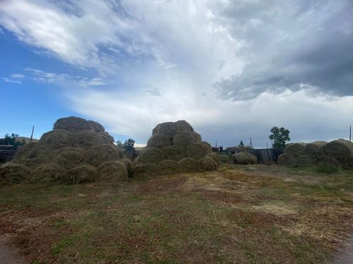В Кызылском районе скошено более 4600 гектаров сена