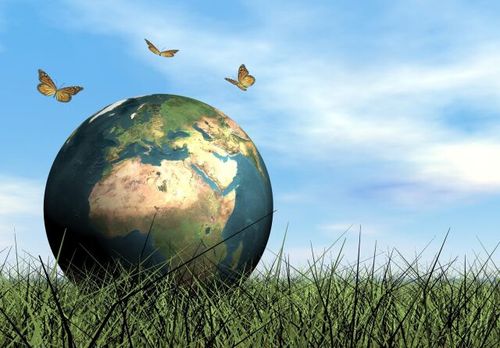 Сегодня Всемирный день охраны мест обитаний