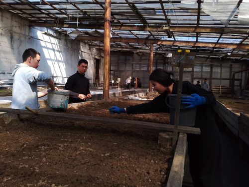 Что нужно знать школьникам и студентам при устройстве на работу