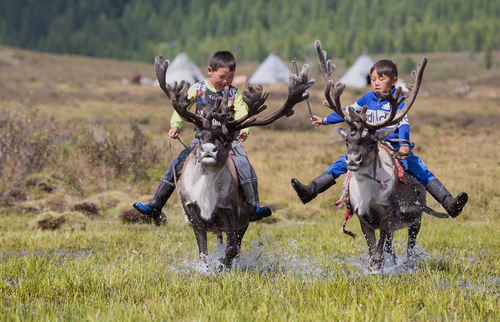 На Тодже отметят День коренных малочисленных народов мира и Наадым