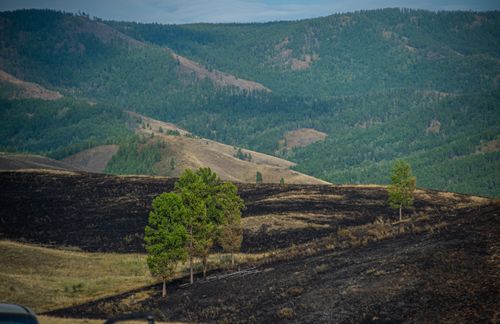 Госкомохотнадзор Тувы возобновил выдачу разрешений после снятия режима ЧС